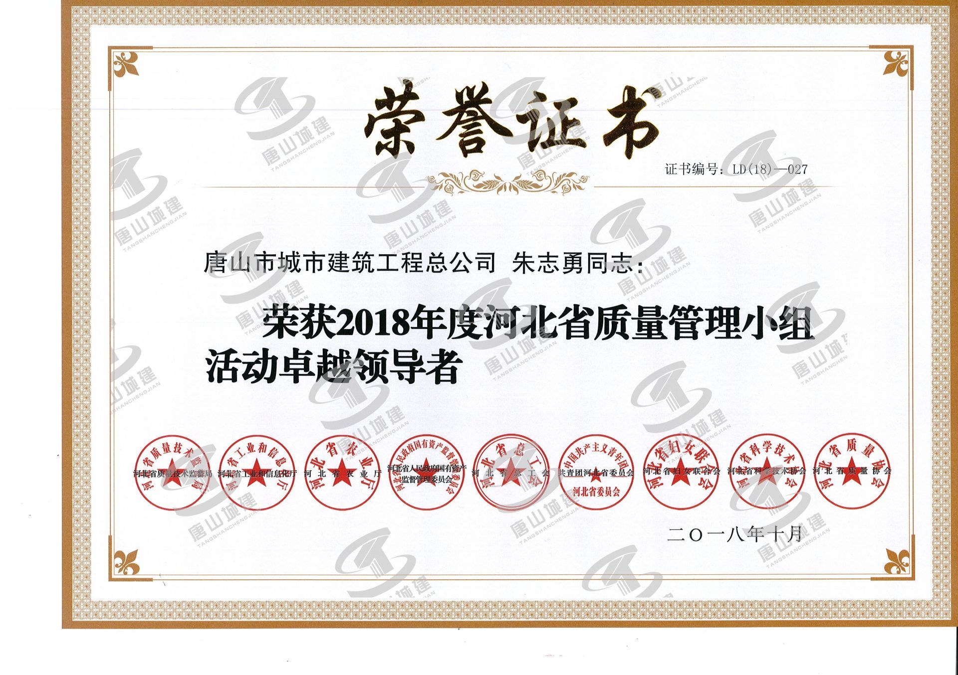 2018年度河北省質(zhì)量管理活動(dòng)小組活動(dòng)卓越領(lǐng)導(dǎo)者朱志勇