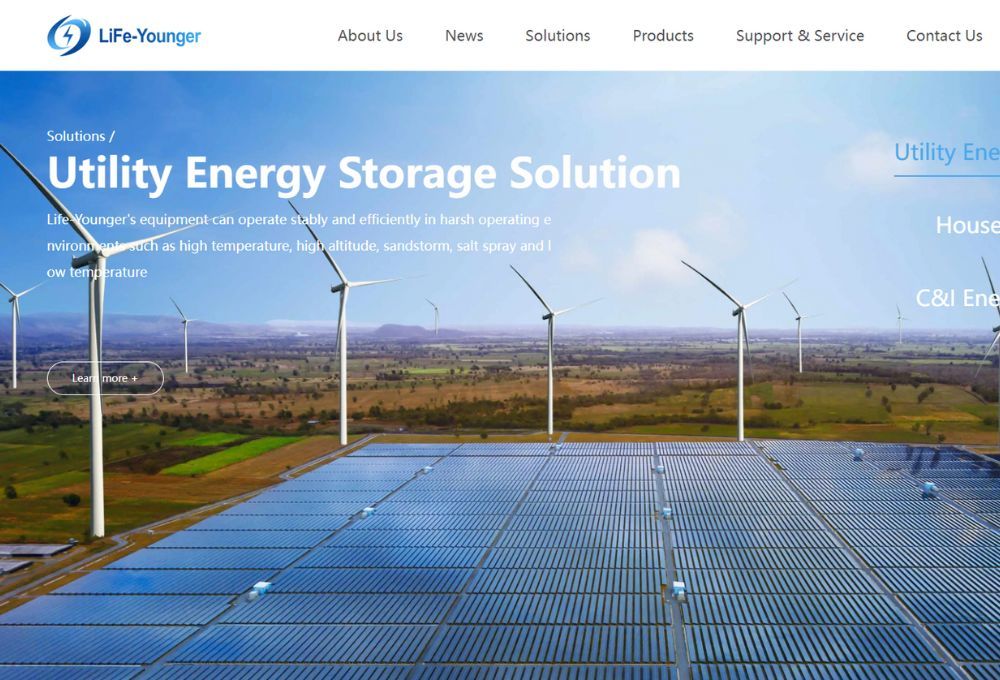 Top 10 Renewable Energy Storage Companies in the World 2024_LiFe ...