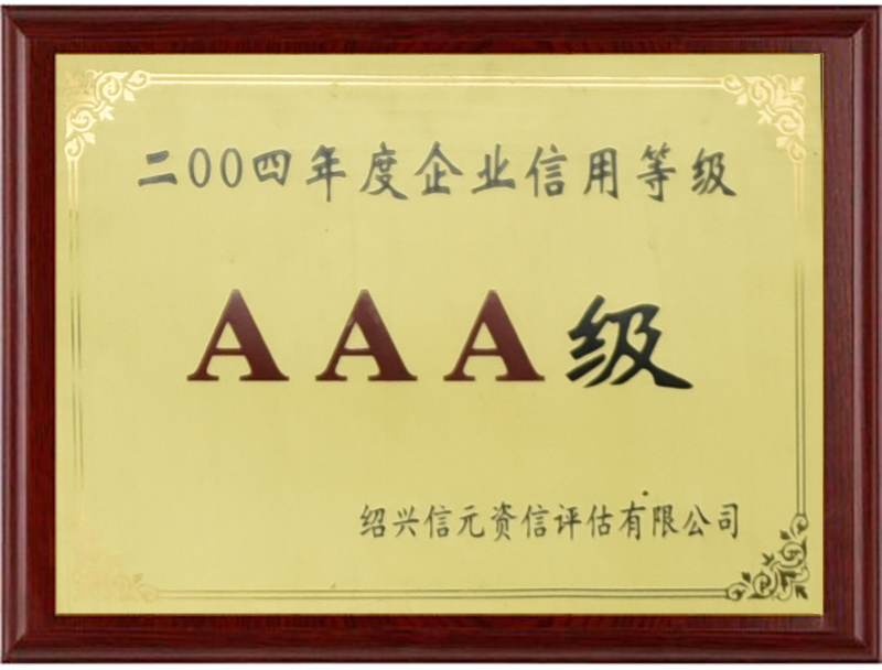 2004 AAA级