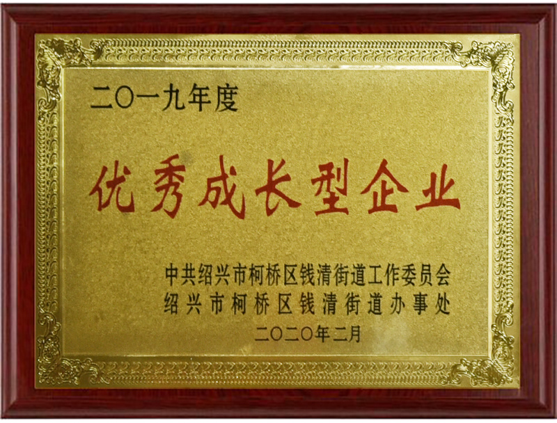 优秀成长型企业