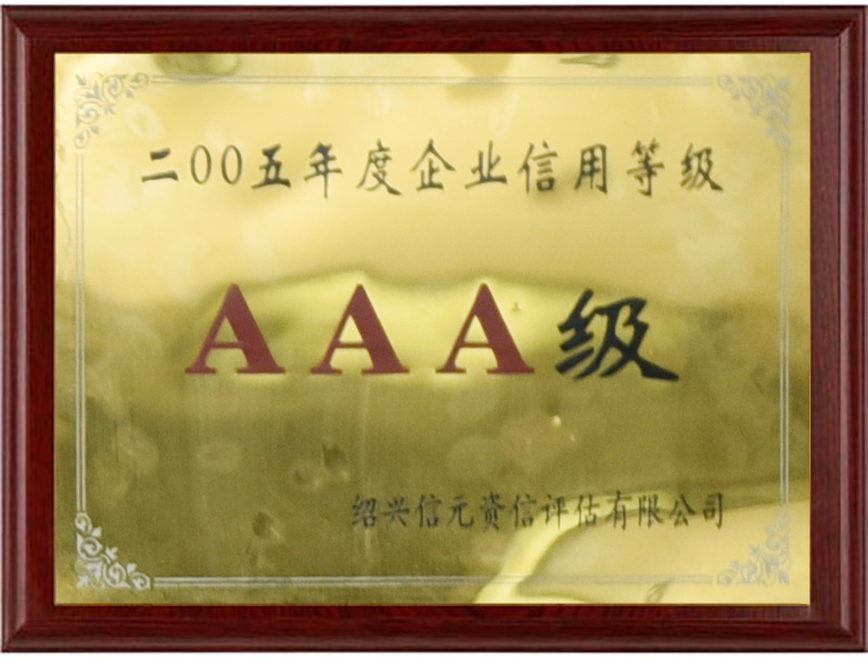 2005AAA级