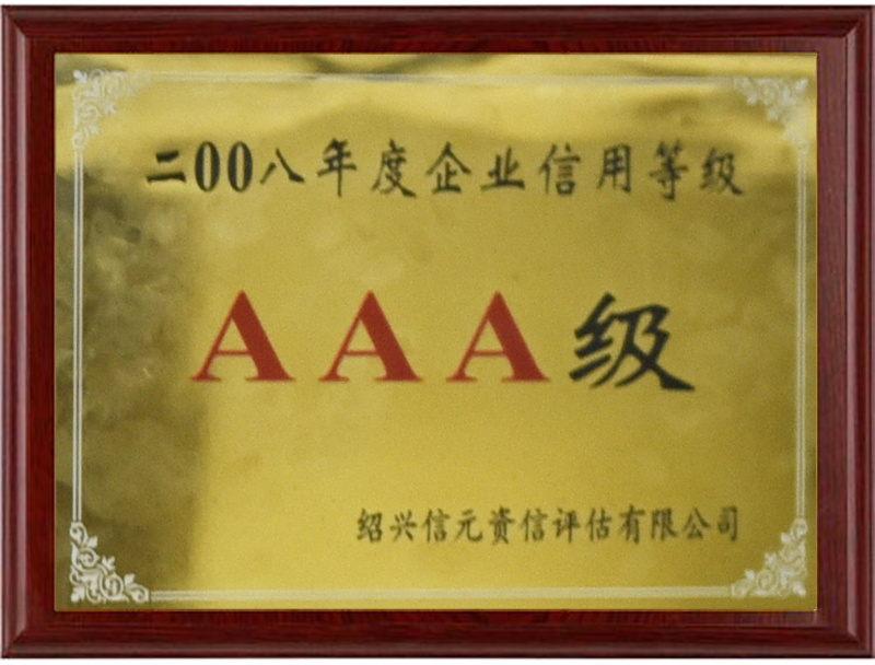 2008AAA级