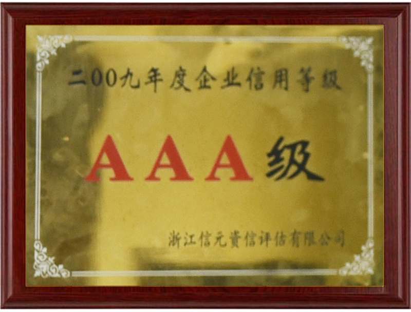 2009AAA级