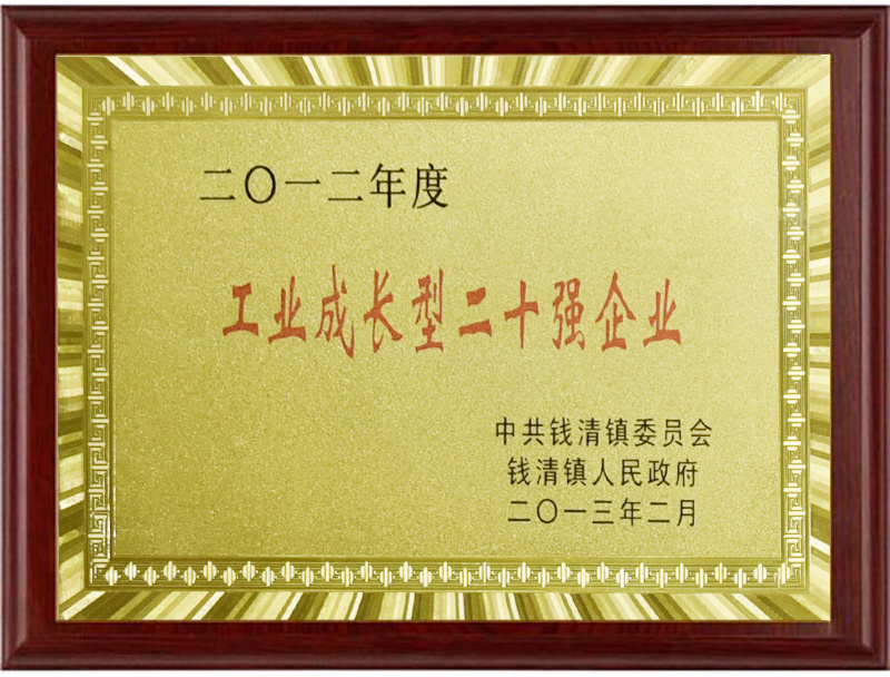 工业成长型二十强企业