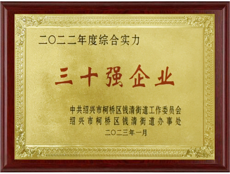 三十强企业