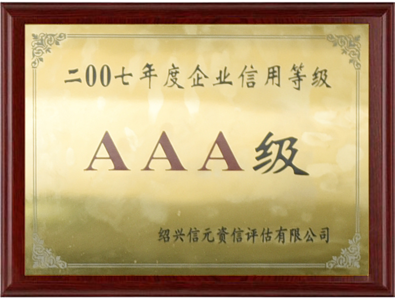 2007AAA级