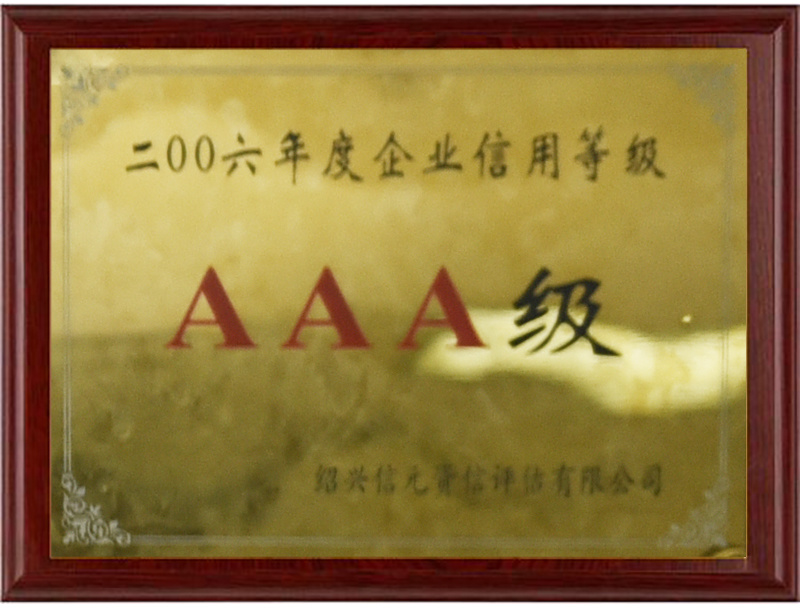 2006AAA级