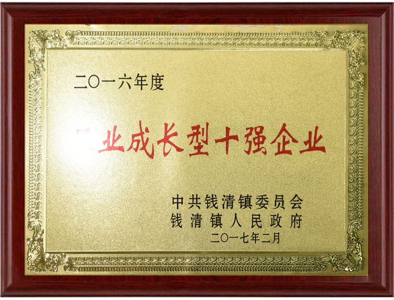 工业成长型十强企业