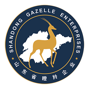 Gazelle Enterprise in Shandong Province