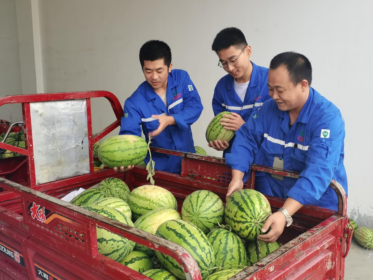 入伏送清凉 台湾宾果28公司工会为全厂员工发放防暑降温品