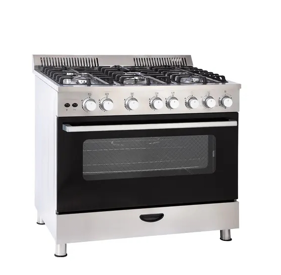 Talking Braille Induction Cookers