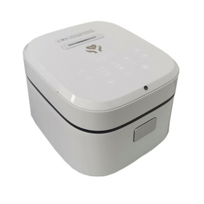 ALK New Design Talking Braille Rice Cooker with Touch and Voice Control Panel