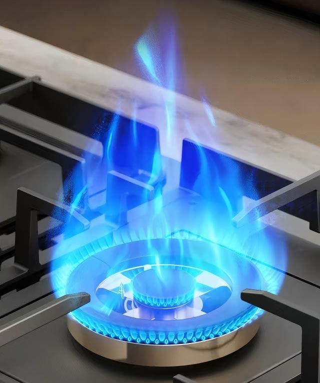 ALK-606 Gas Hob