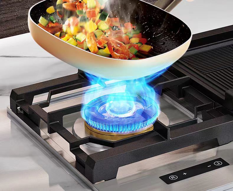 ALK-S401 Gas Hob