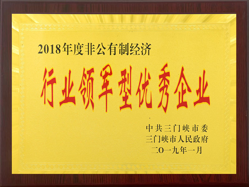 行業(yè)領(lǐng)軍型優(yōu)秀企業(yè) 行業(yè)領(lǐng)軍型優(yōu)秀企業(yè)