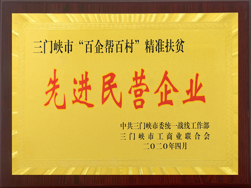 先進(jìn)民營(yíng)企業(yè) 先進(jìn)民營(yíng)企業(yè)