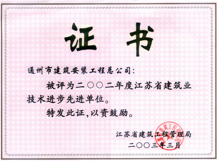 2002年度江蘇建筑業(yè)技術(shù)進(jìn)步先進(jìn)單位