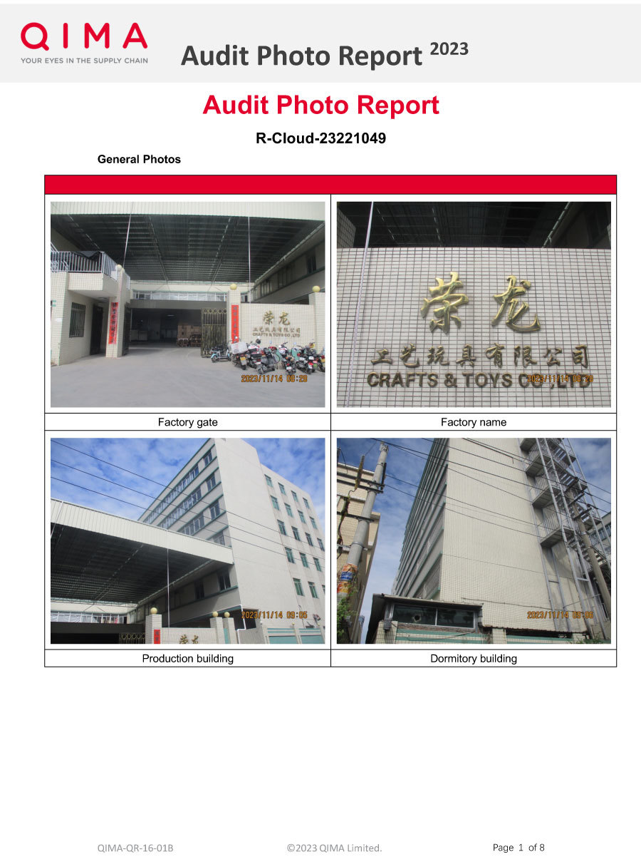 审计照片报告