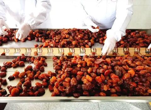 果脯蜜餞生產(chǎn)線