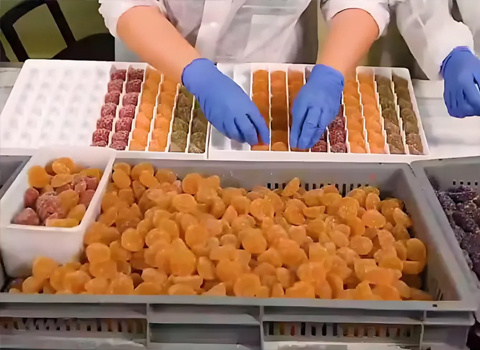 果脯蜜餞生產(chǎn)線