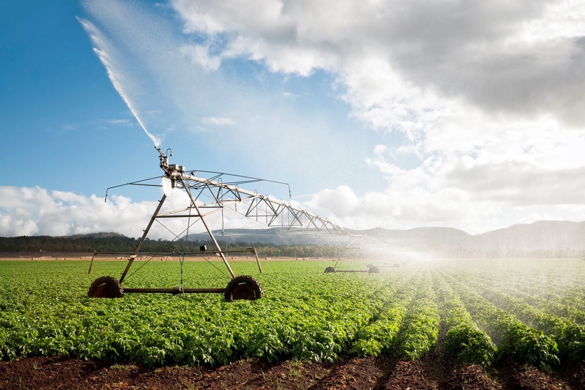Agriculture Industry Agriculture Industry