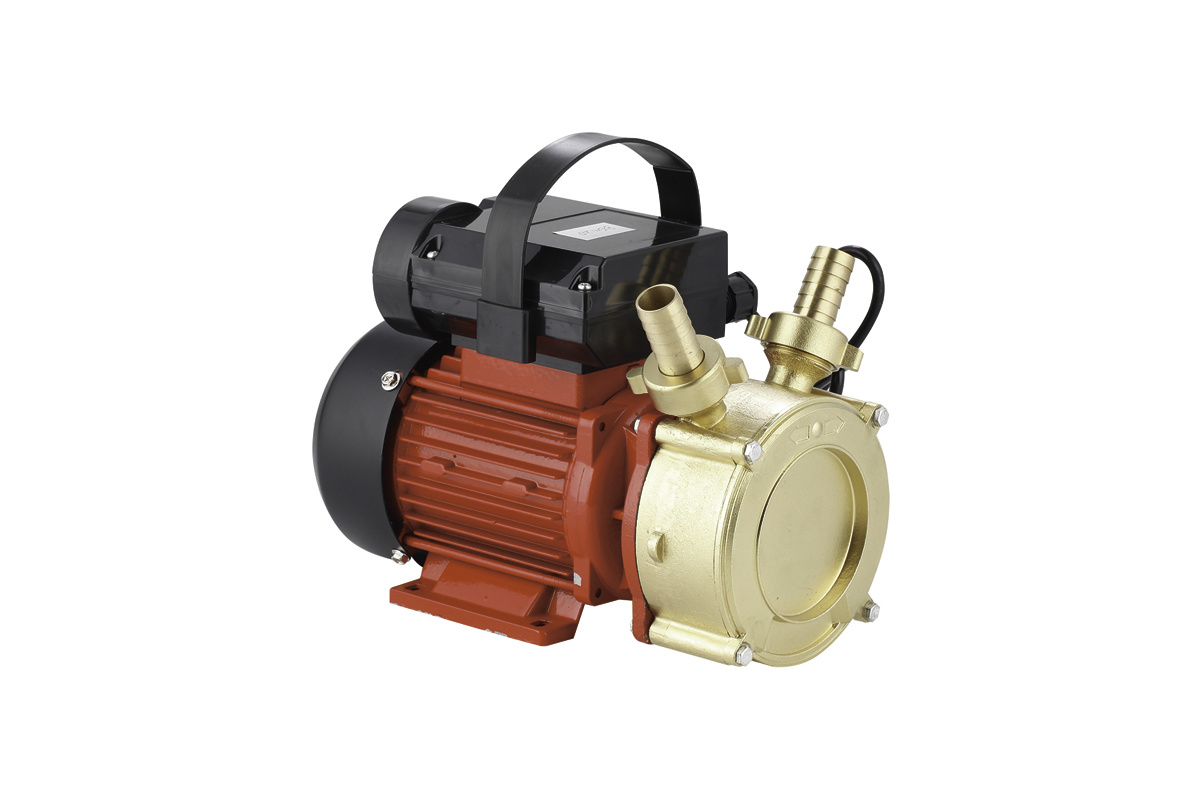 BE Series Two Ways Running Brass Oil Transfer Pump