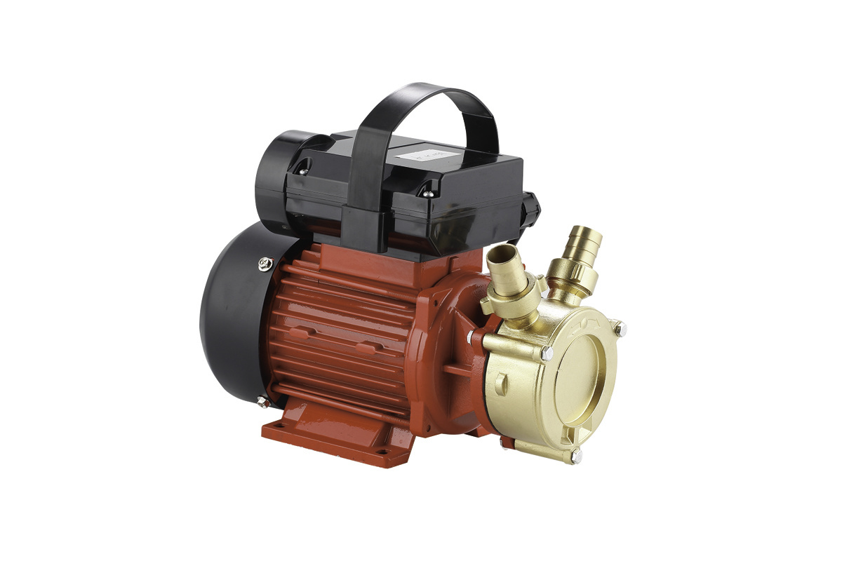 BE-M20-2P Brass Fuel Transfer Pump