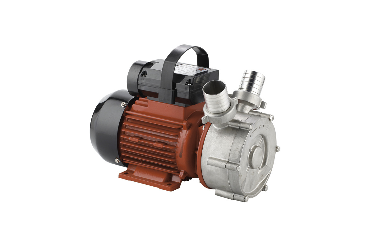 BE-S Series Two Ways Running Inox Oil Transfer Pump