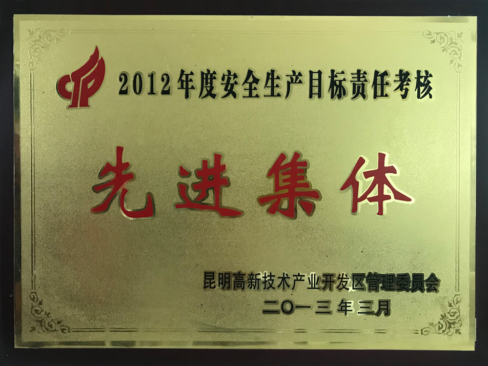 2013先進(jìn)集體