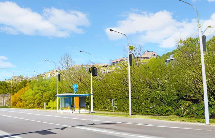 Russia, 2 lanes Street Lighting Project, 110W Solar Street Light