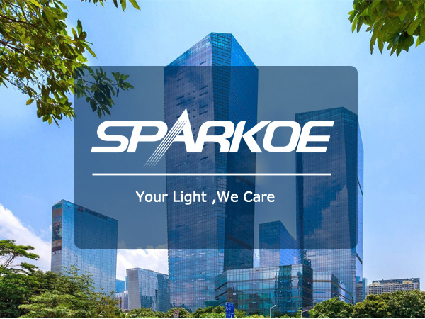 China-donated home solar photovoltaic power system and LED lights to the Republic of Guinea manufactured by SPARKOE, ready for shipping