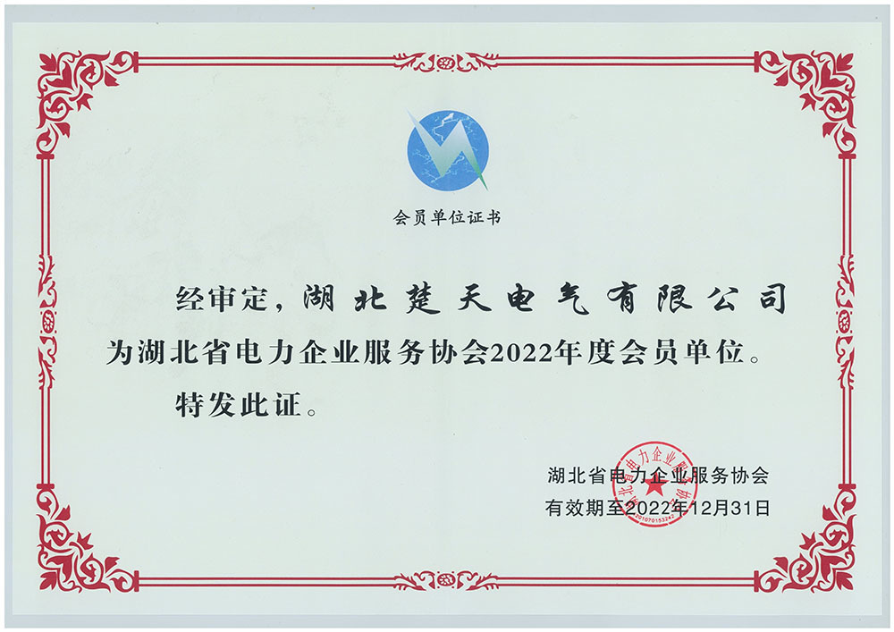 2022 Member of Hubei Electric Power Enterprise Service Association