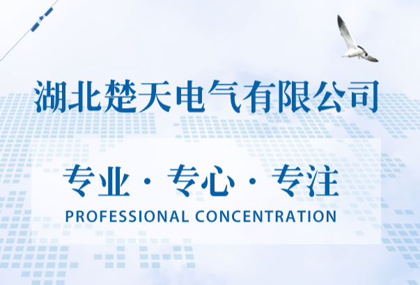 热烈庆祝我司ERP系统乐成上线