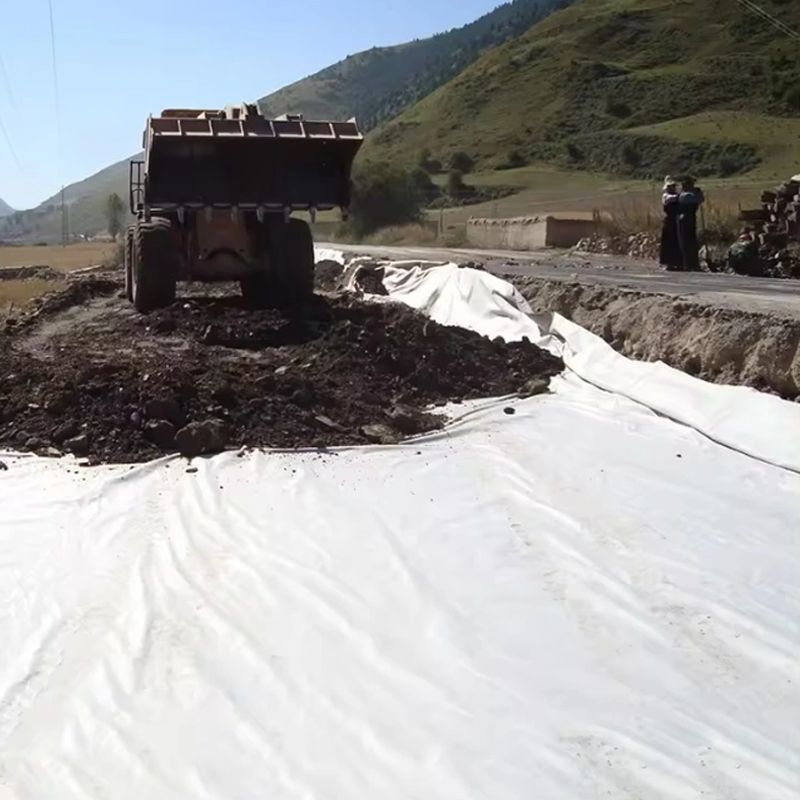 PP Spunbonded/la aguja de la fibra de grapa perforó el geotextil no tejido para el ferrocarril