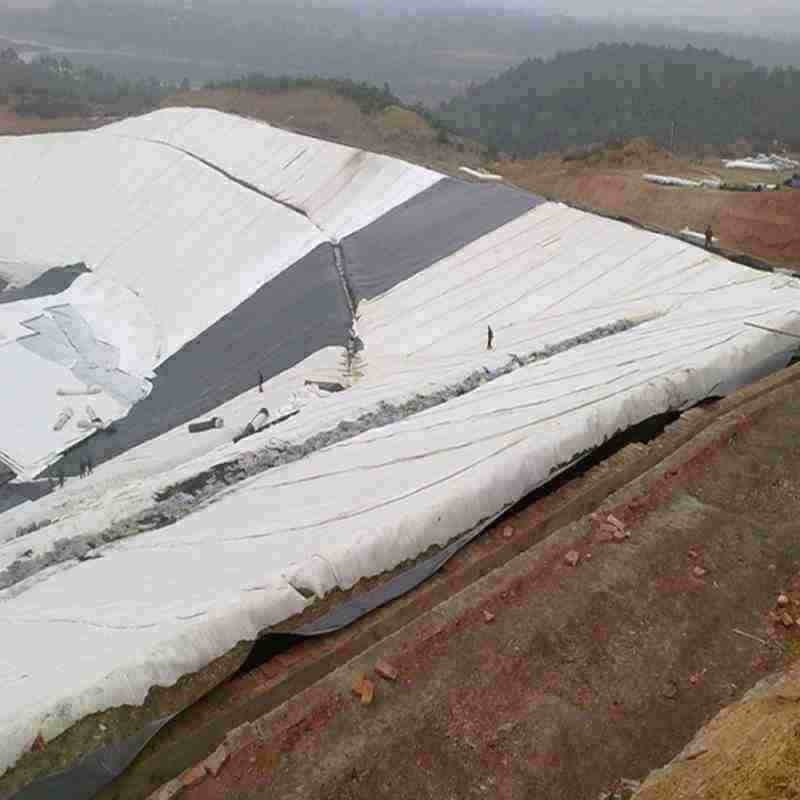 Continuous Filament Needle Punched Long Fiber PP Nonwoven Geotextile