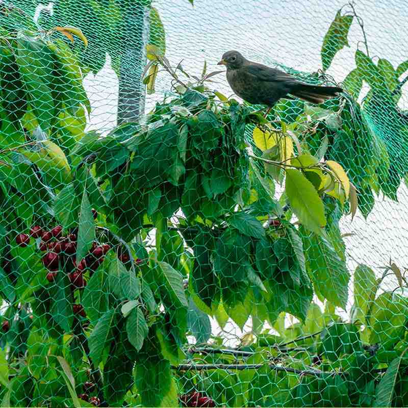 Quality Promised Knitted Green Shade Net for Anti Bird