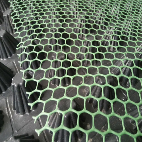 HDPE Bi-Planer Drainage Composite Geonet