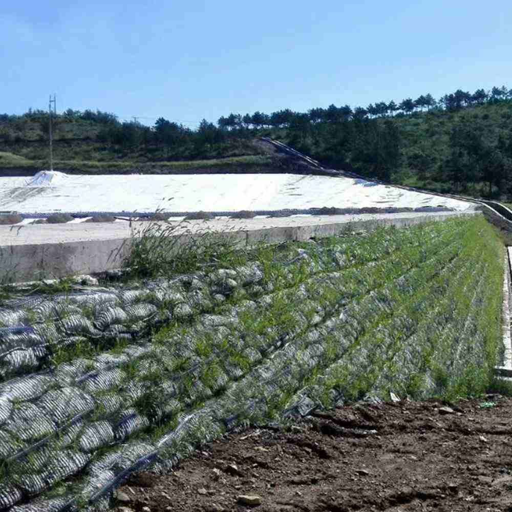 HDPE Uniaxial Plastic Geogrid for Earthwork Construction Plastic Mesh Netting