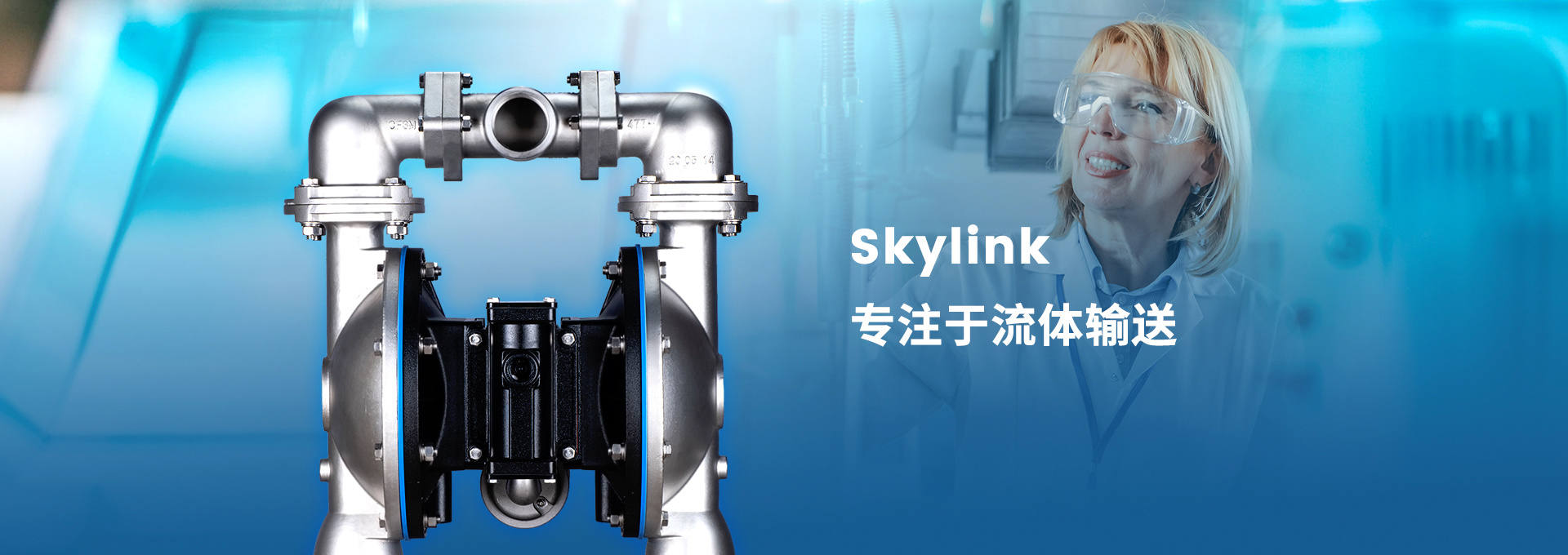 Skylink