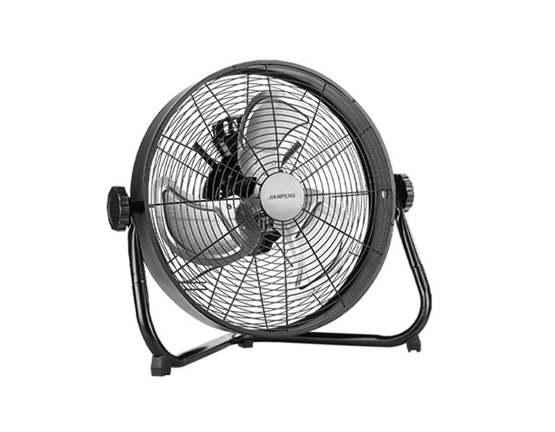 Understanding the Popularity of Circulation Fans: A Comprehensive Guide