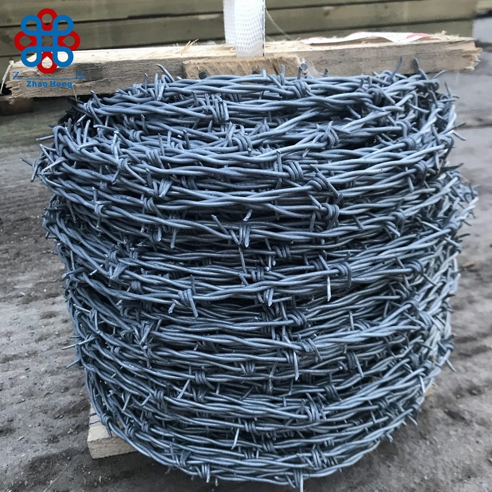 Top-quality Barbed Wire Showcased in Fine Detail