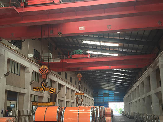 Double girder bridge crane