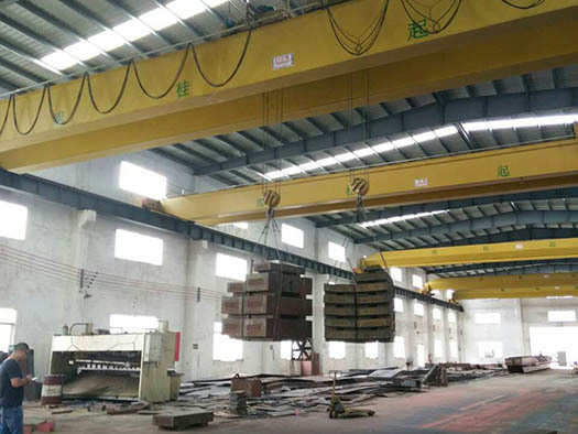 Double girder bridge crane