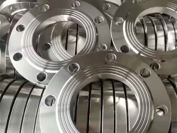 S31803 Flange