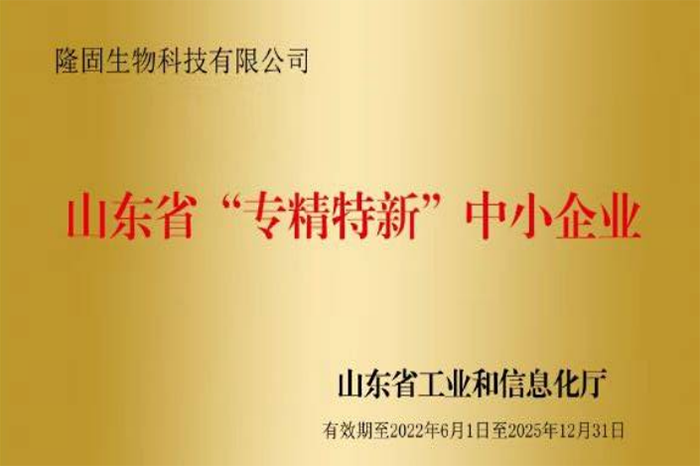 山東省の専門および特別な新しい中小企業