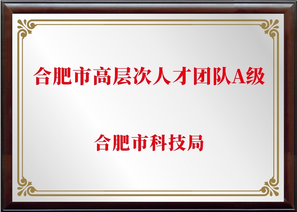 合肥市高层次人才团队A级
