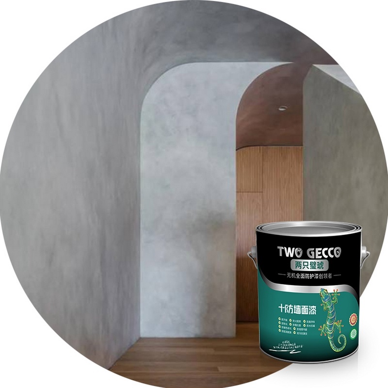 Microcement wall paint