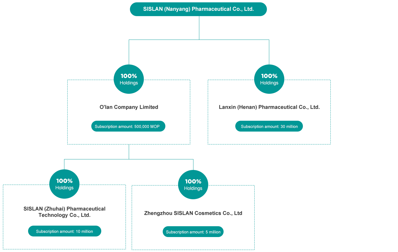 Shareholding Structure of Group Companies