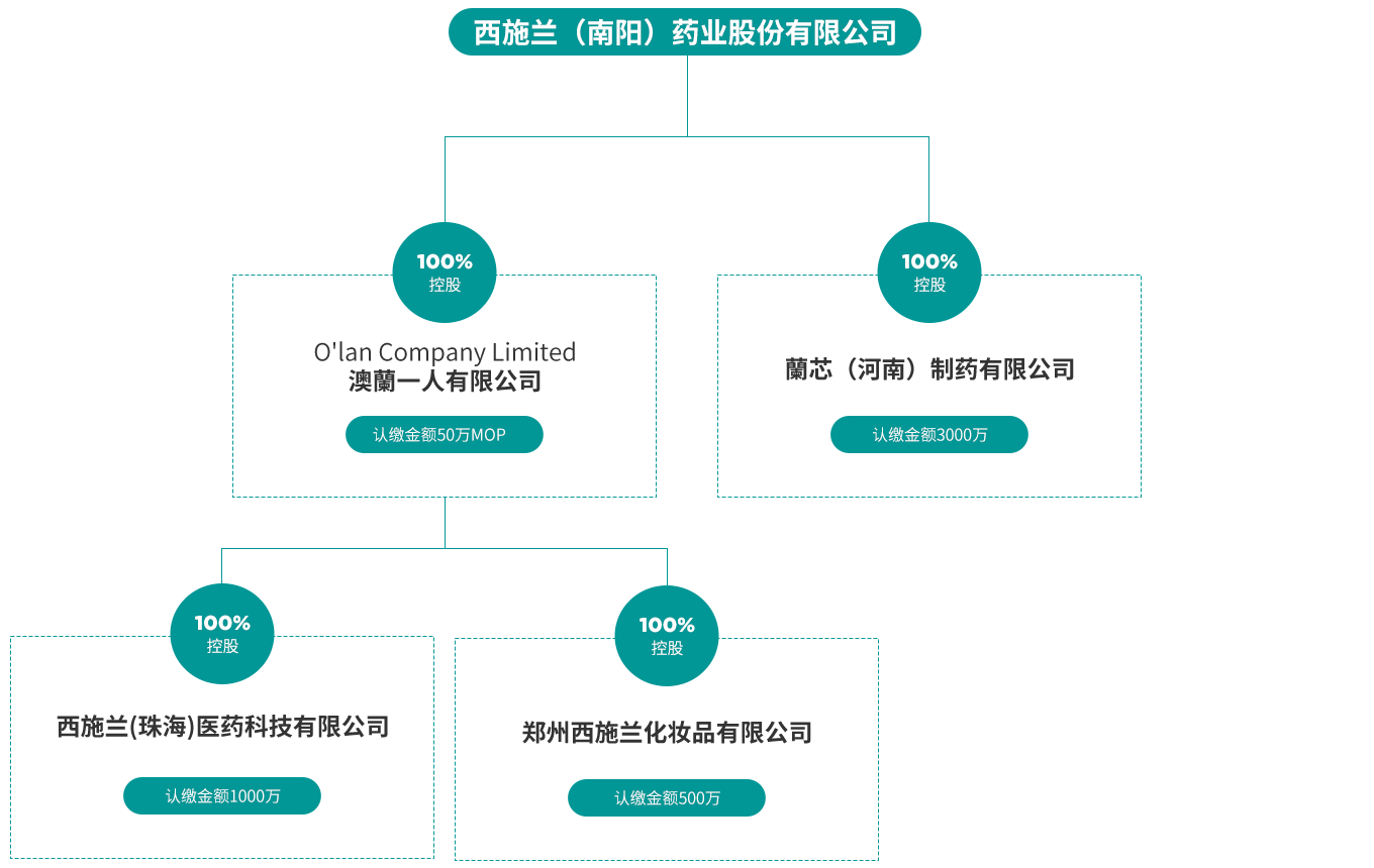 集團公司股權(quán)架構(gòu)