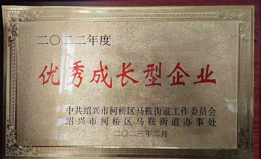 2022年度優(yōu)秀成長企業(yè)